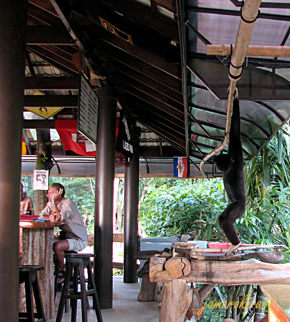 Is this the swingers bar? - Gibbons in Thailand
